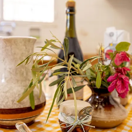 Santorini Amoni House At 2 Bdrs 6 Pers 公寓 *